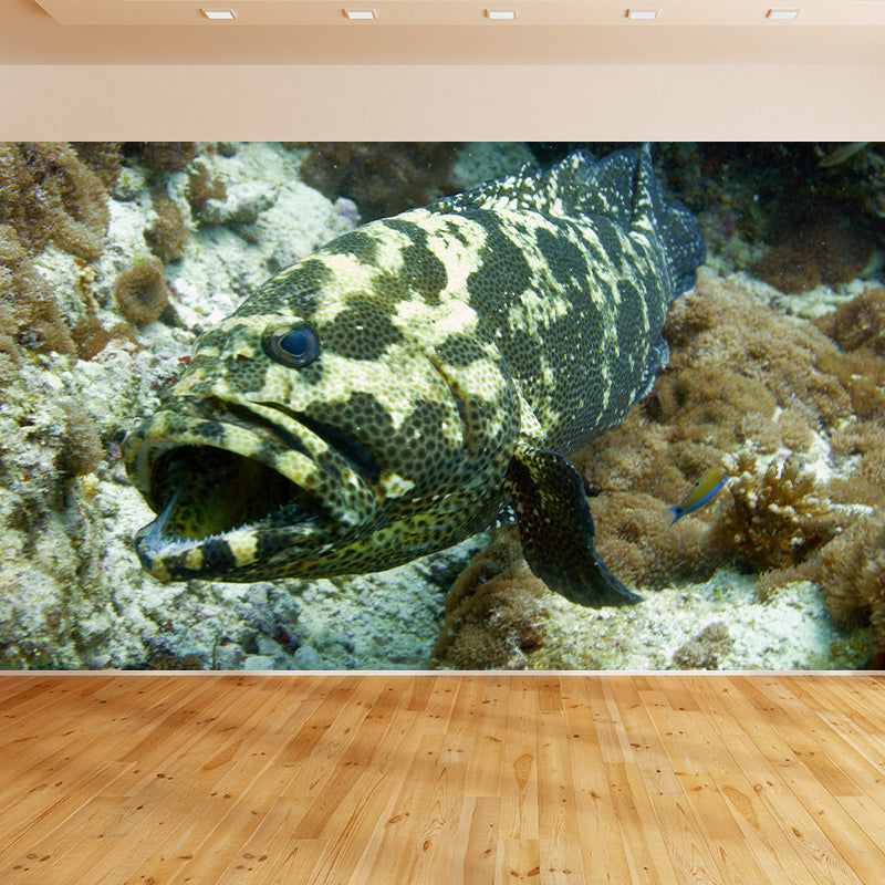 Decorative Photography Wallpaper Undersea Home Decor Wall Mural