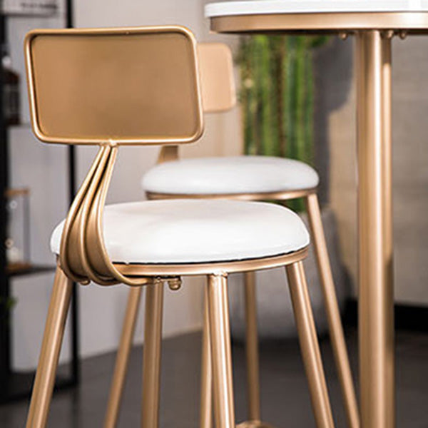 Scandinavian Coffee Shop Counter Stools Footrest Metal Backrest Gold Frame Bar Stool