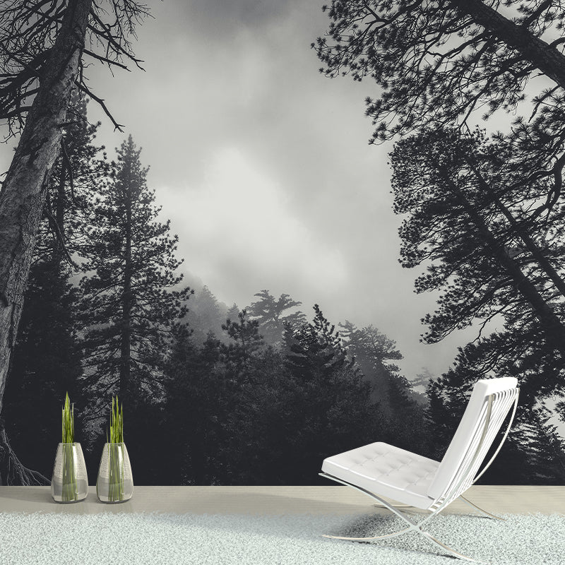 Environment Friendly Photography Forest Wallpaper Home Decor Mural Wallpaper