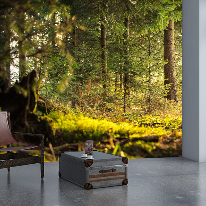 Environment Friendly Forest Photography Wallpaper Home Decor Mural Wallpaper