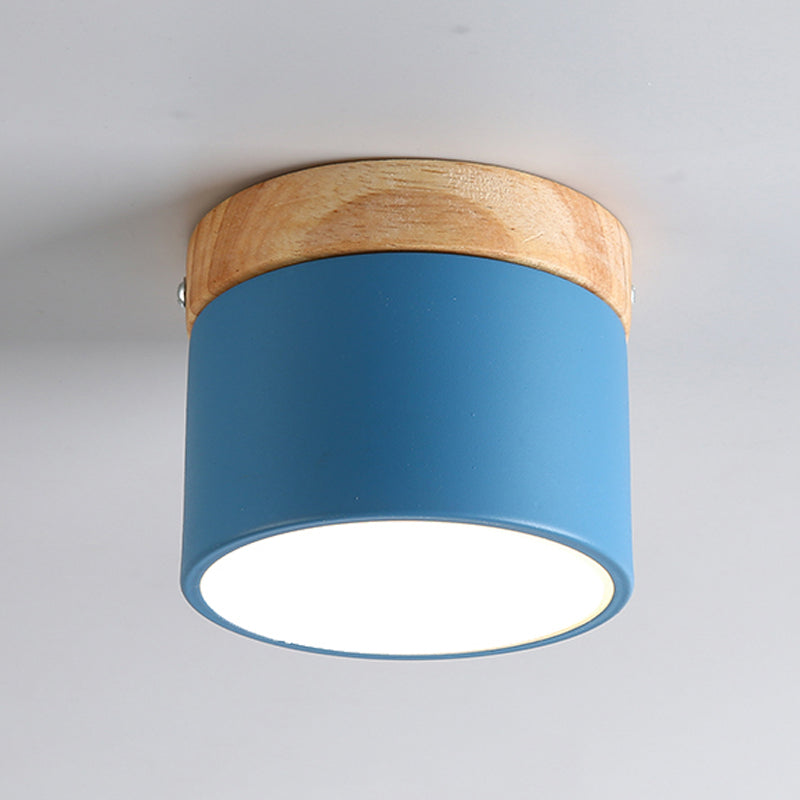 Modern Style Cylindrical Shape Ceiling Lamp Metal 1 Light Ceiling Lighting for Living Room