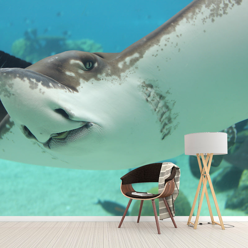 Photography Stain Resistant Wallpaper Undersea Home Decor Wall Mural
