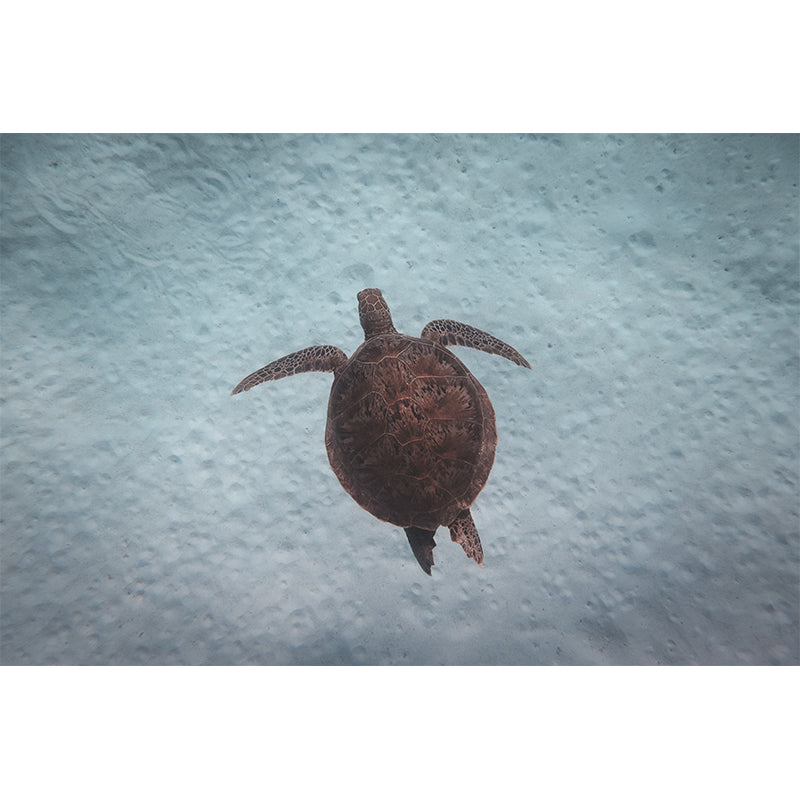 Environment Friendly Wallpaper Underwater Living Room Wallpaper