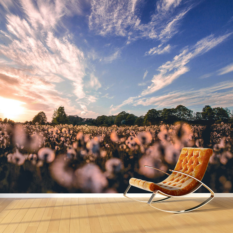 Photography Stain Resistant Sky Mural Wallpaper Home Decor Wallpaper