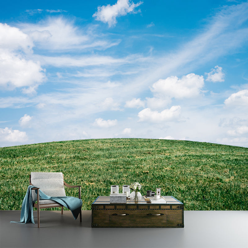 Sky Photography Mildew Resistant Wall Mural Living Roiom Wallpaper