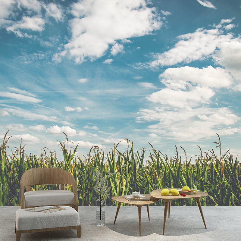 Environment Friendly Photography Wallpaper Sky Living Room Mural Wallpaper