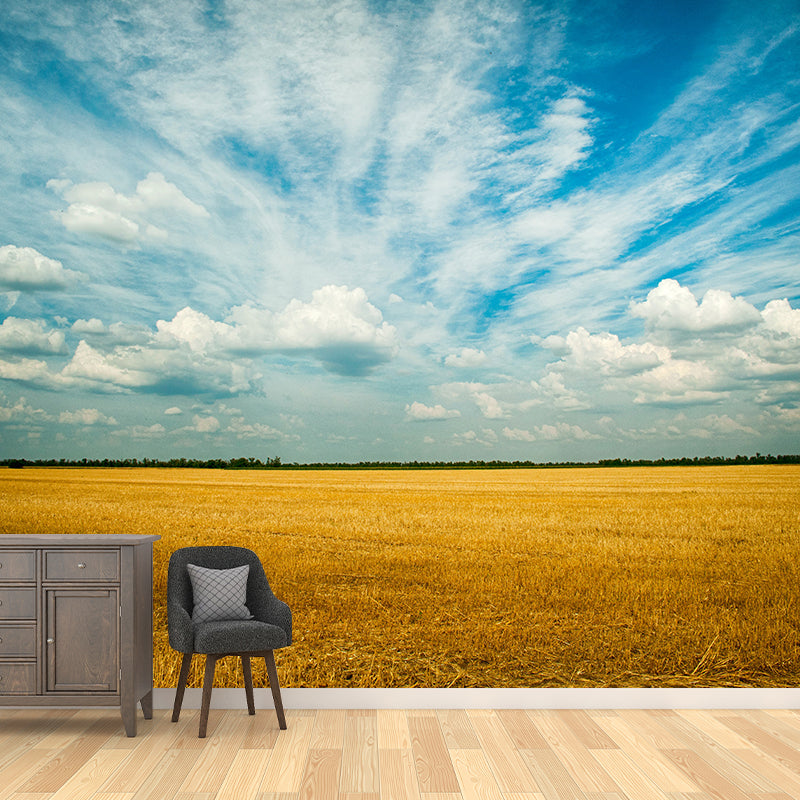 Decorative Sky Stain Resistant Photography Wallpaper Drawing Room Wall Mural