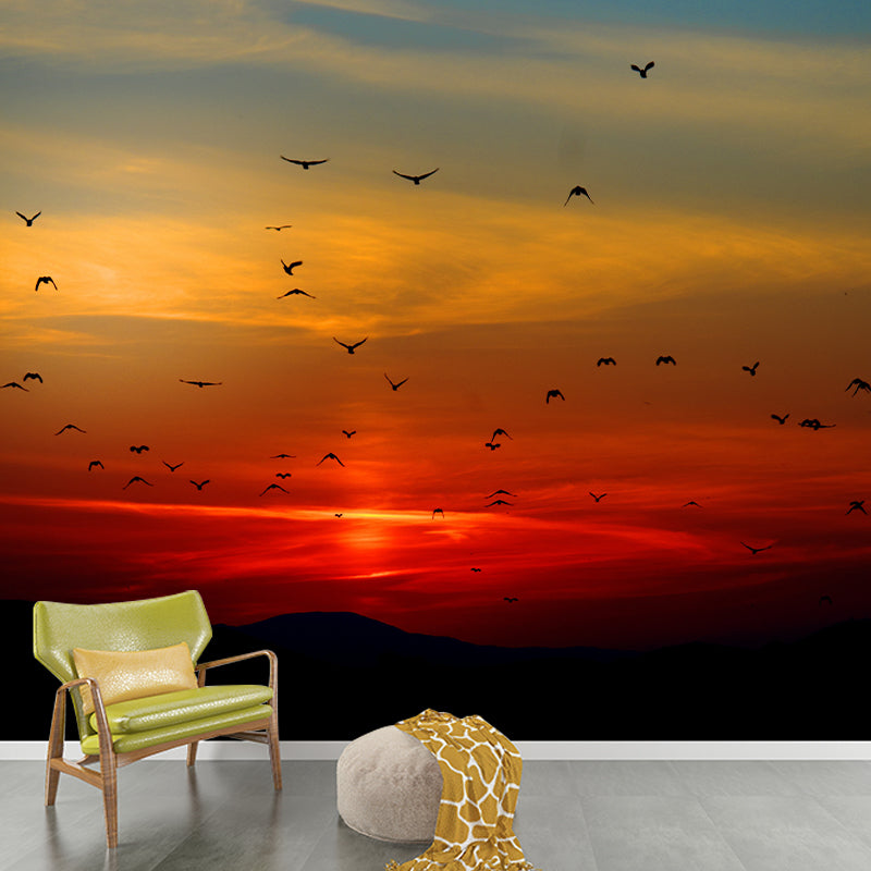 Decorative Sky Stain Resistant Photography Wallpaper Drawing Room Wall Mural