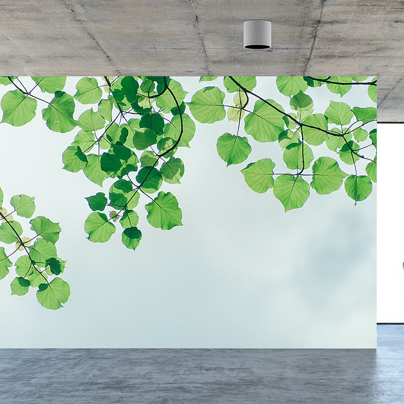 Photography Environment Friendly Wall Mural Sky Home Decor Wallpaper