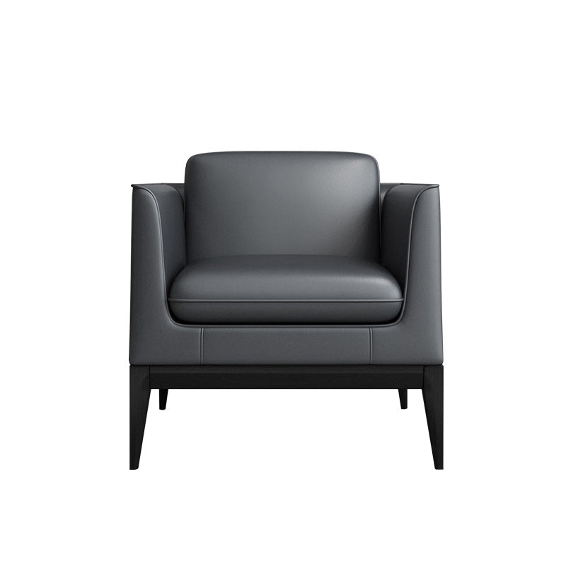 Standard Tuxedo Arm Sofa 30.70" D x 31.49" H Sofa for Living Room