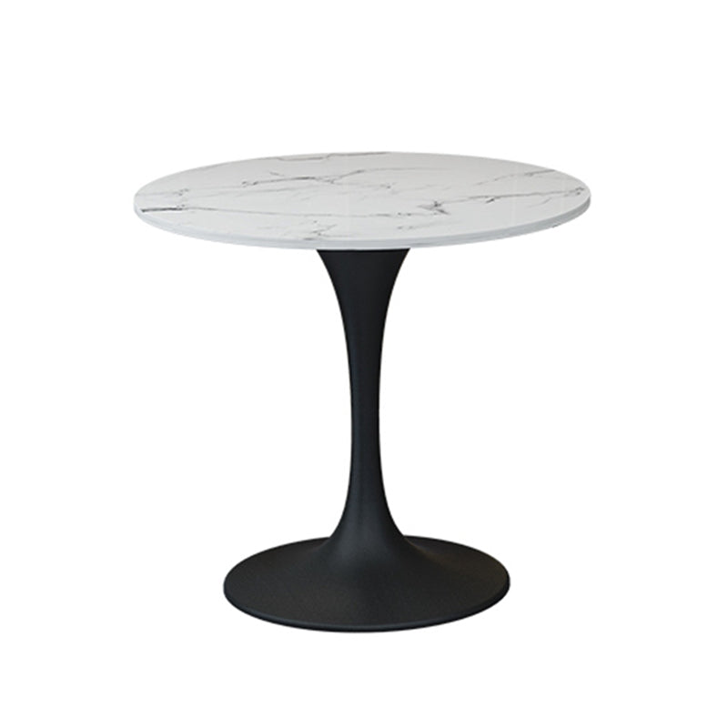 Modern Sintered Stone Dining Table Set 1/2/4/5 Pieces Dining Set