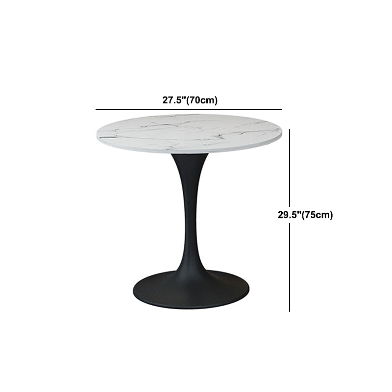 Modern Sintered Stone Dining Table Set 1/2/4/5 Pieces Dining Set