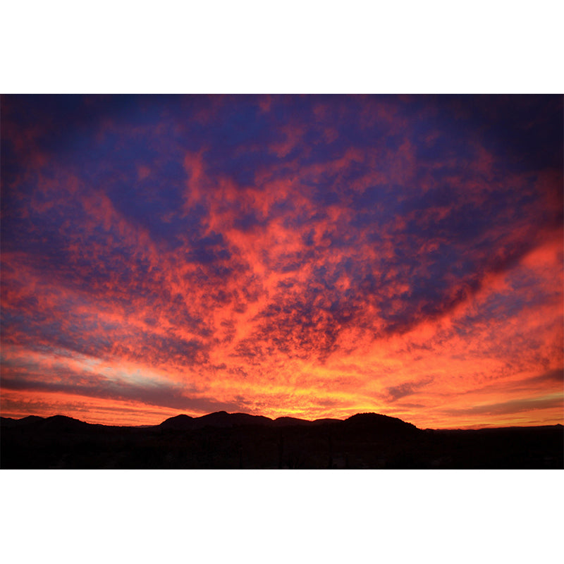 Photography Modern Wallpaper Living Room Sky Mural Wallpaper