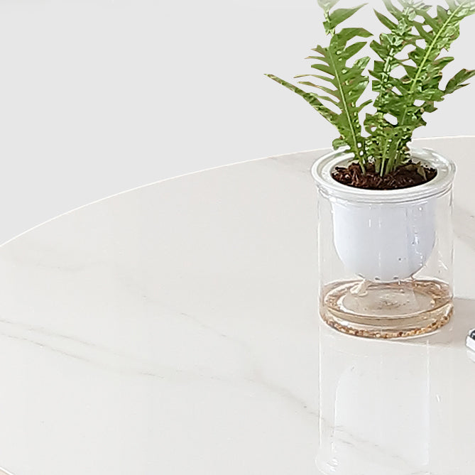 Sintered Stone Dining Table Modern Dining Room Table with Pedestal Base