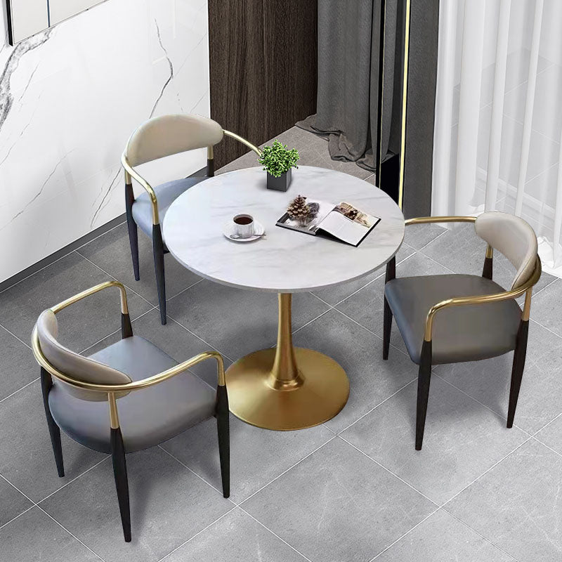 Modern Style Arm Chair Open Back Dining Chair with Metal Legs