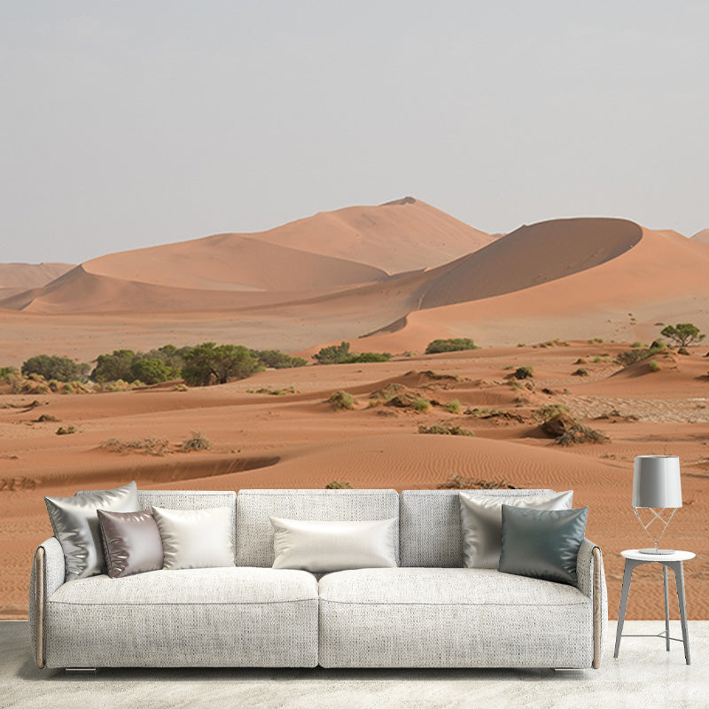 Eco-friendly Photography Desert Wall Mural Sitting Room Mural Wallpaper