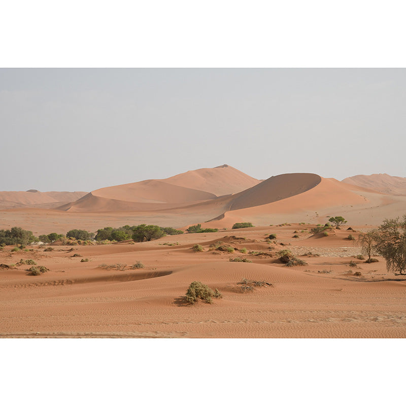 Eco-friendly Photography Desert Wall Mural Sitting Room Mural Wallpaper