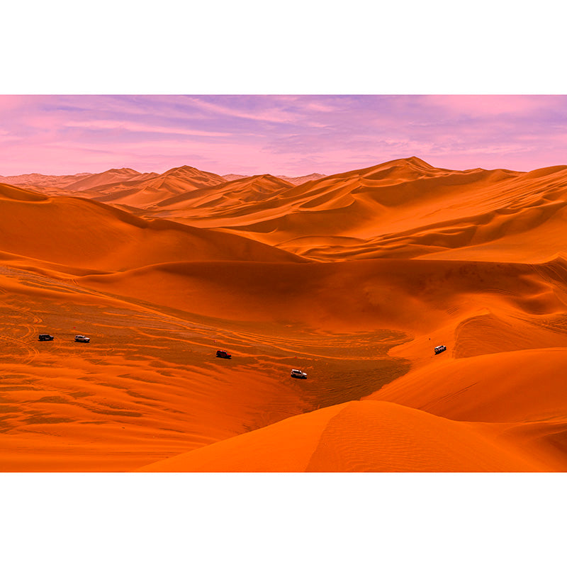 Photography Decorative Desert Wallpaper Sitting Room Wall Mural