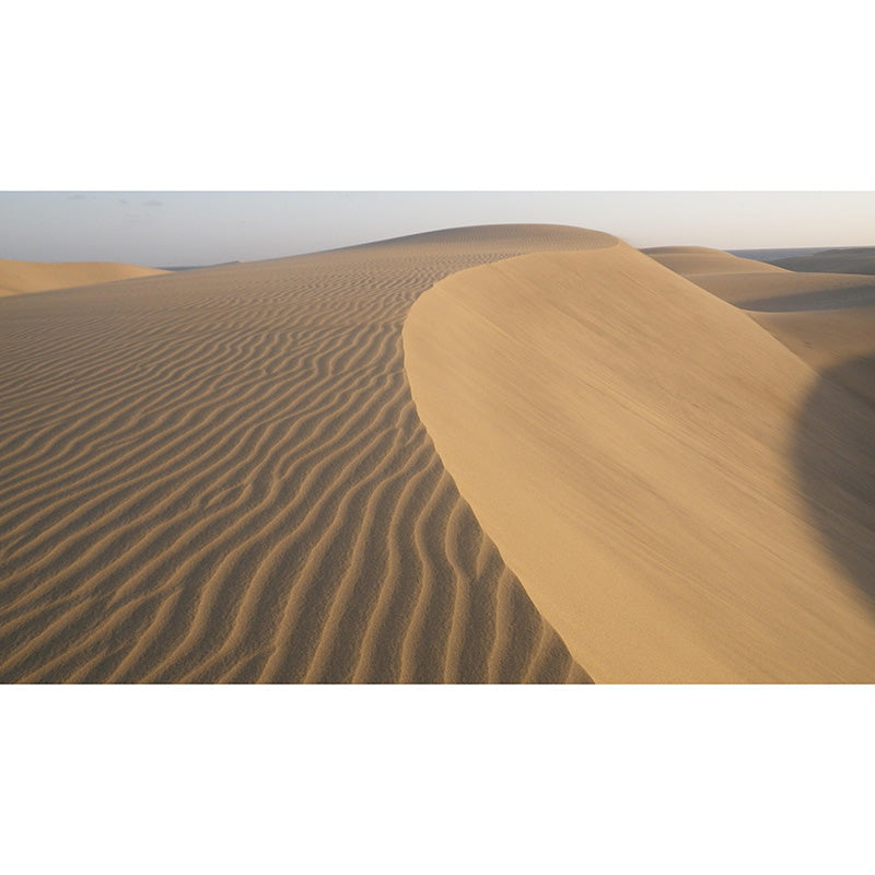 Environment Friendly Photography Wallpaper Desert Sitting Room Wall Mural