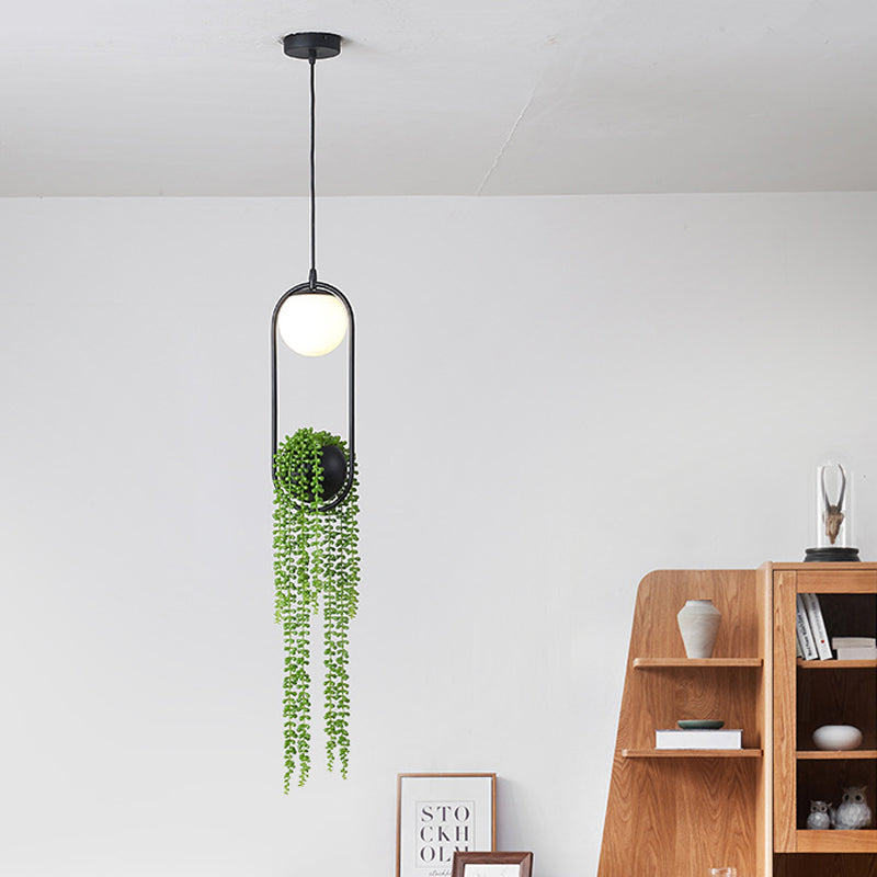 Industrial Global Plant Hanging Light 1 Bulb Metal LED Ceiling Suspension Lamp in Black