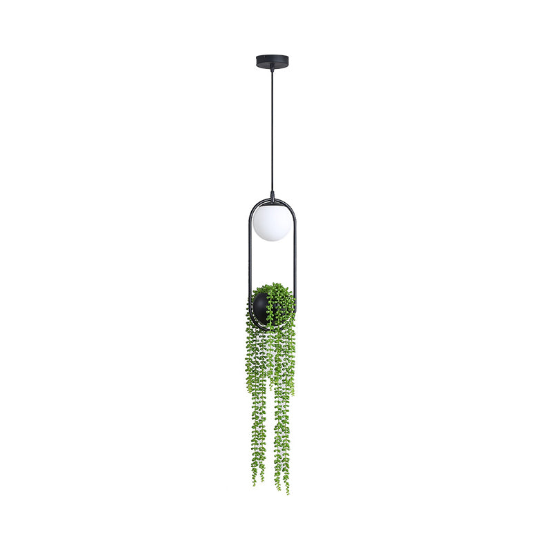 Industrial Global Plant Hanging Light 1 Bulb Metal LED Ceiling Suspension Lamp in Black