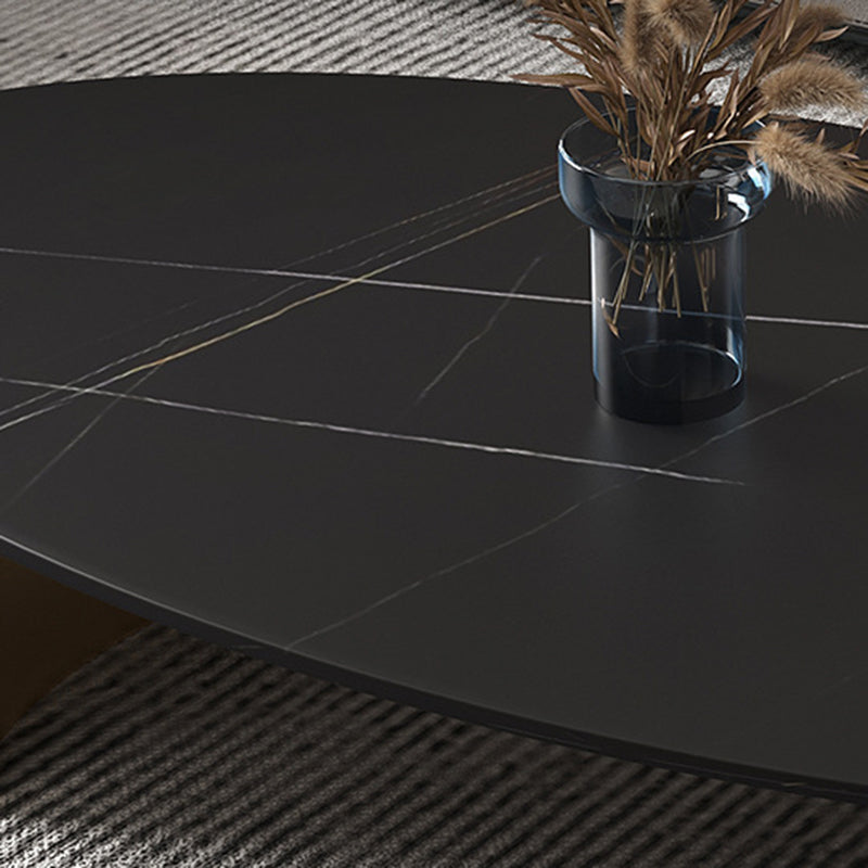 Modern Style Oval Coffee Table with Metal Steel/black/gold Base