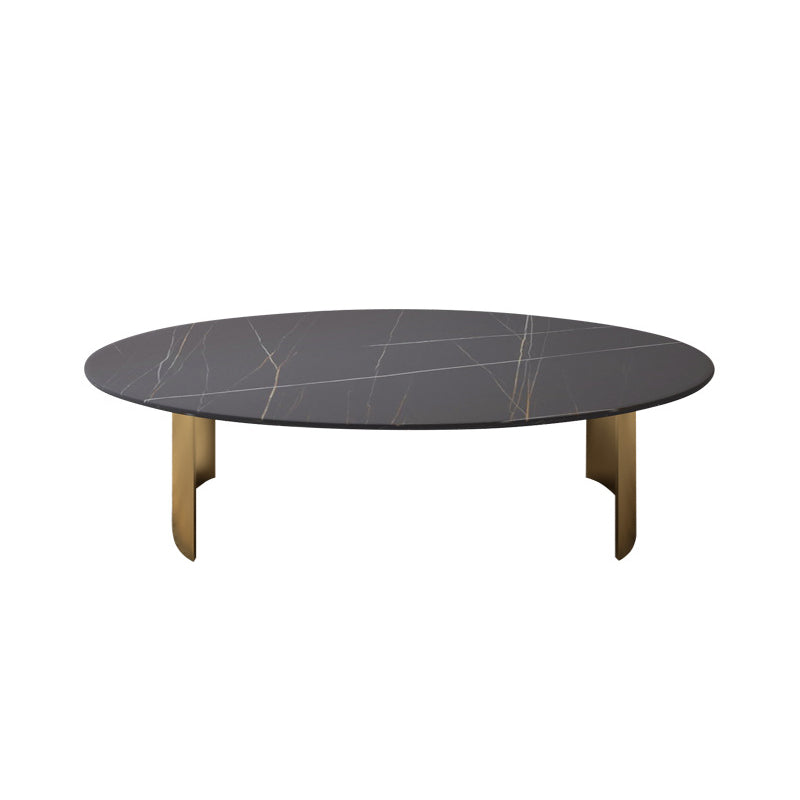 Modern Style Oval Coffee Table with Metal Steel/black/gold Base