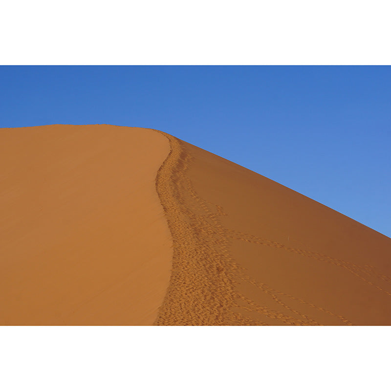 Photography Desert Stain Resistant Wallpaper Living Room Wall Mural