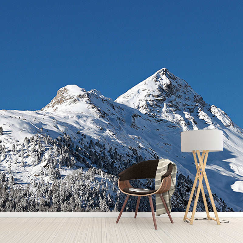 Environment Friendly Photography Wall Mural Living Room Mural Wallpaper