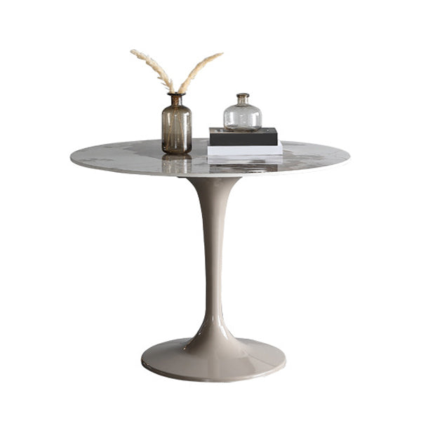 Modern Sintered Stone Dining Table Set Round 1/2/4/5 Pieces Dining Set