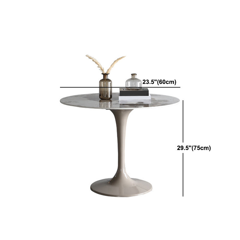 Modern Sintered Stone Dining Table Set Round 1/2/4/5 Pieces Dining Set