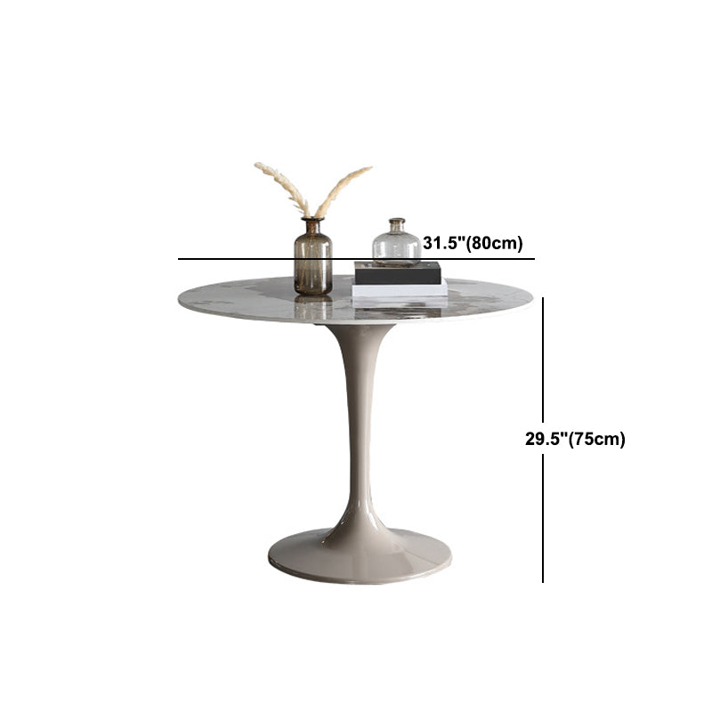 Modern Sintered Stone Dining Table Set Round 1/2/4/5 Pieces Dining Set