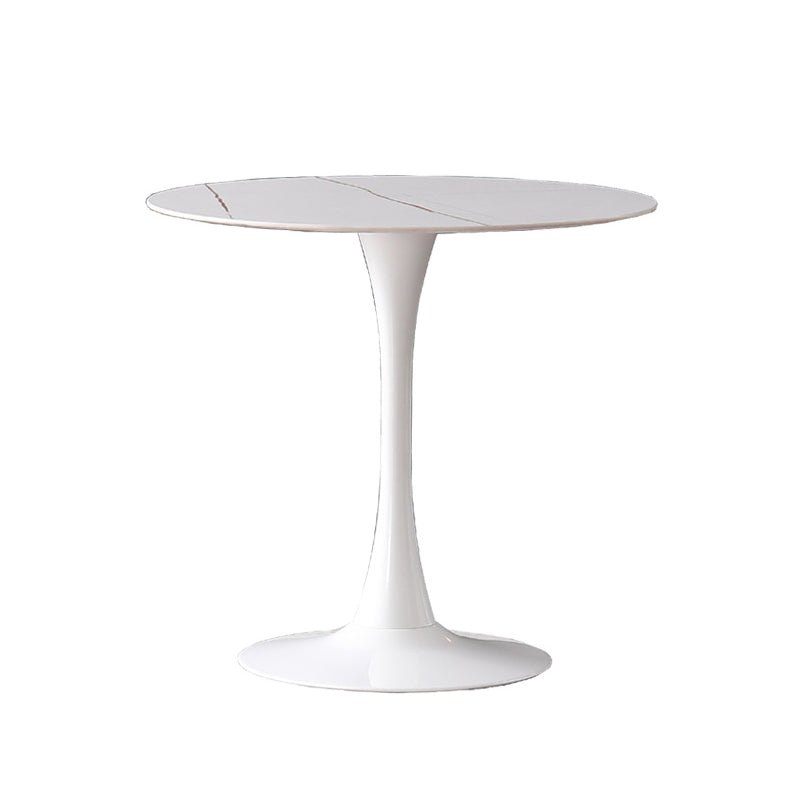 Glam Sintered Stone Dining Table Set Round 1/2/3/4/5 Pieces Dining Set for Home Use