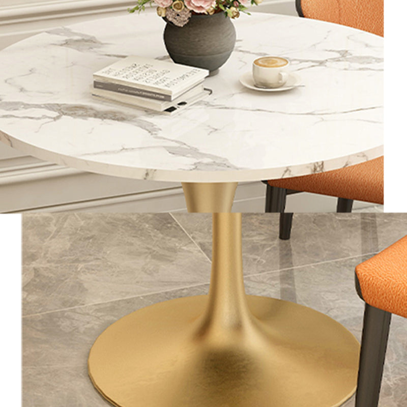 Modern Style Dining Table Sintered Stone Round Tulip Table for Dining Room