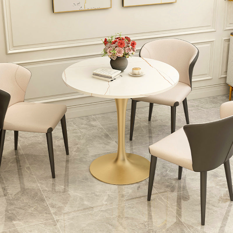 Modern Style Dining Table Sintered Stone Round Tulip Table for Dining Room