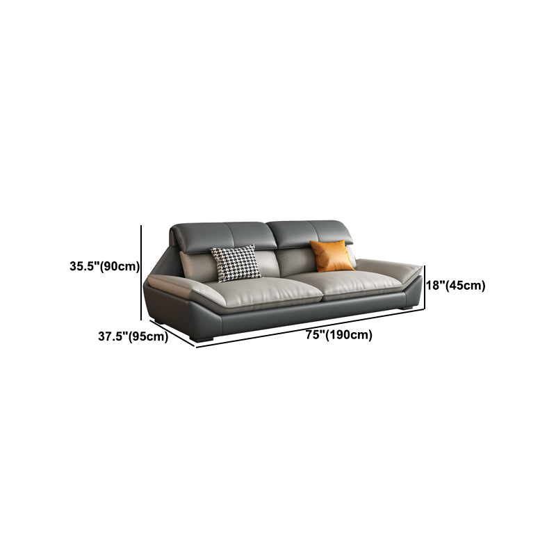 Contemporary Light-grey Sofa/Sentional with Pillow Top Arm 35.43"