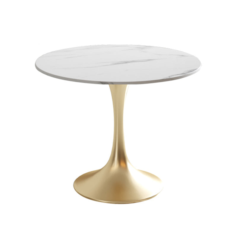 Modern Style Round Dining Table Sintered Stone Table with Tulip Base