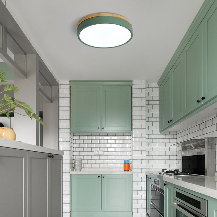 Modern Style Circle Shape Ceiling Lighting Metal 1 Light Ceiling Lamp for Bedroom