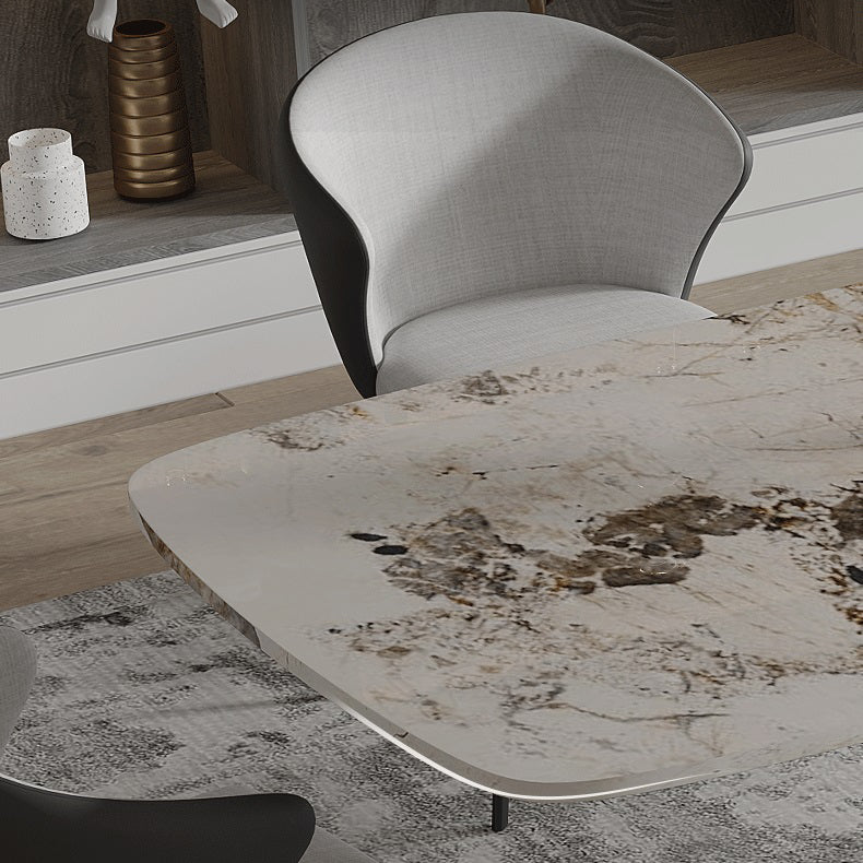 Modern Sintered Stone Top Dining Set Rectangle 1/3/4/5/7/9 Pieces Dining Room Table Set
