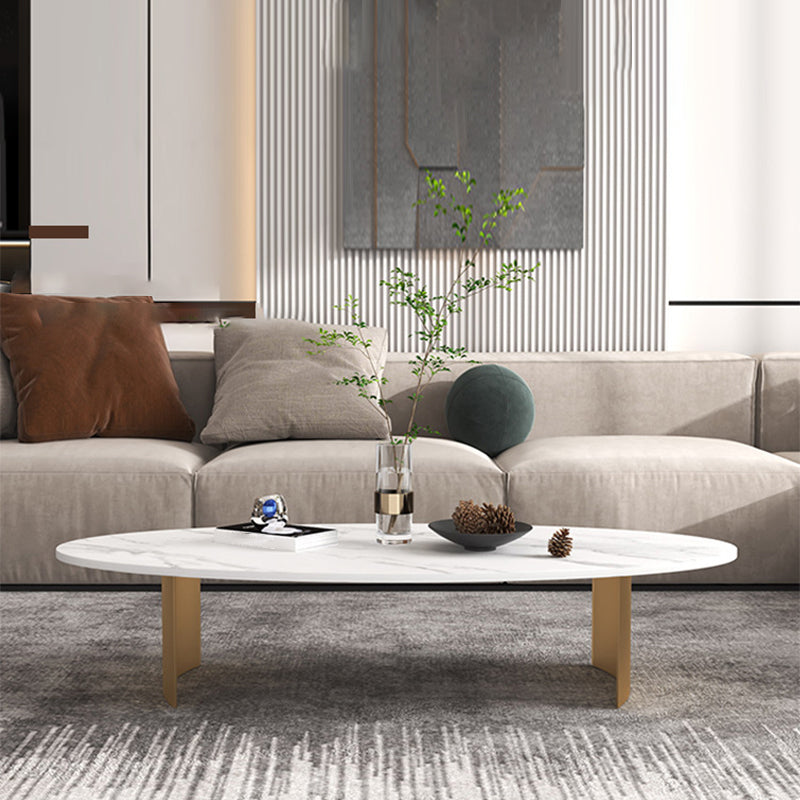 Modern Style Black Gold/white/grey Oval Coffee Table with Rock Board
