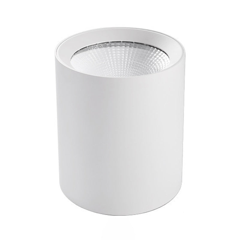 Cylinder Metal Ceiling Light Fixture Modern Style LED Ceiling Flush Mount