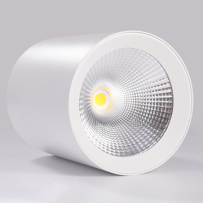 Cylinder Metal Ceiling Light Fixture Modern Style LED Ceiling Flush Mount