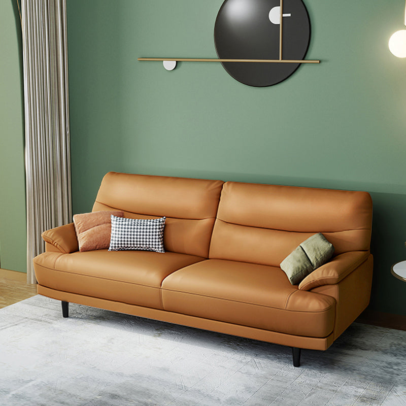 Stain Resistant Leather Pillow Top Arm Biscuit Back Settee Couch