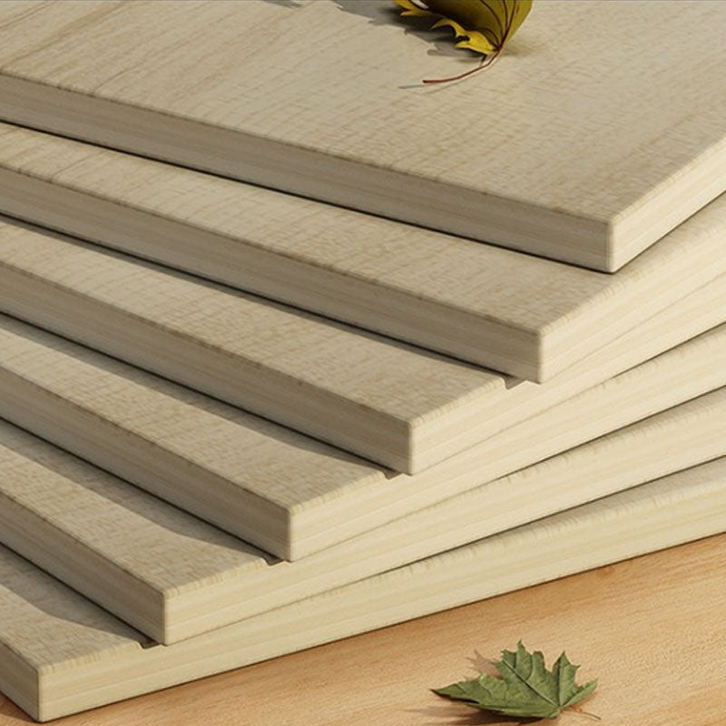 Modern Style Bookcase Wood Closed Back Bookshelf with Door for Office