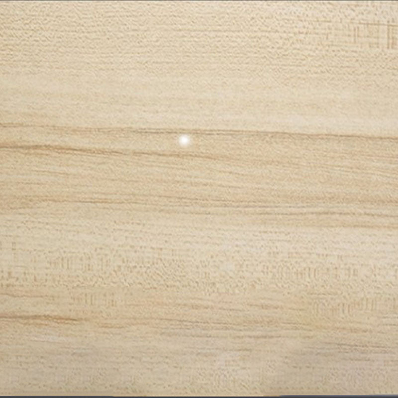 Modern Style Bookcase Wood Closed Back Bookshelf with Door for Office