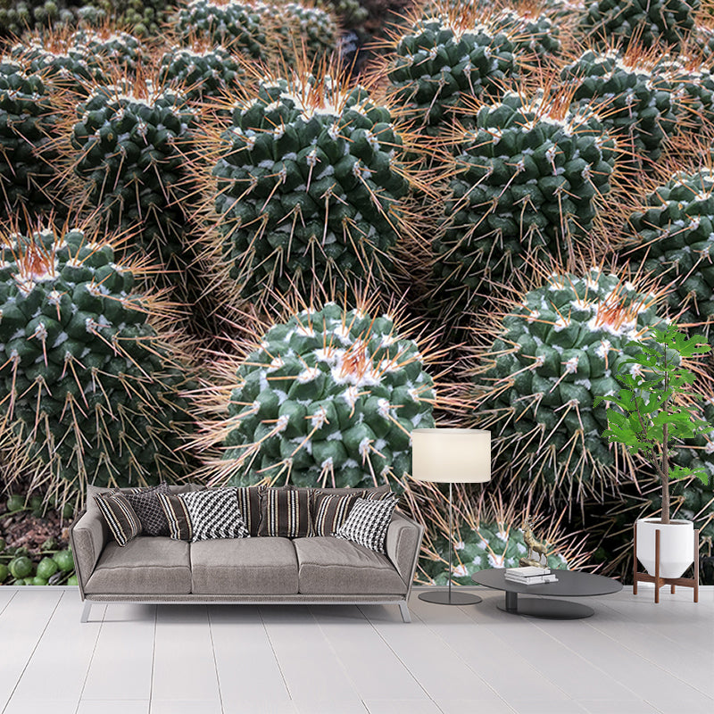 Vintage Wall Mural Tropical Cactus Print Drawing Room Wall Mural