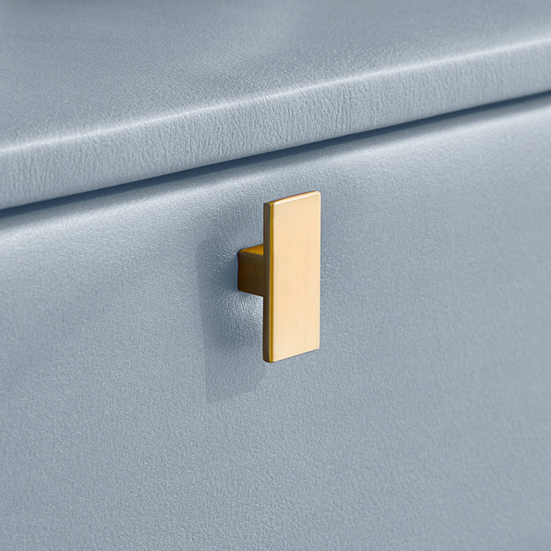 Modern Style with Two Drawers and a Choice of Color Leather Nightstand