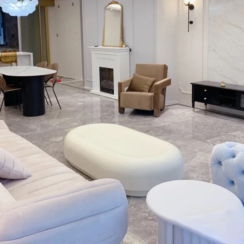 Contemporary 1 Single Coffee Table Oval Cocktail Table with Storage