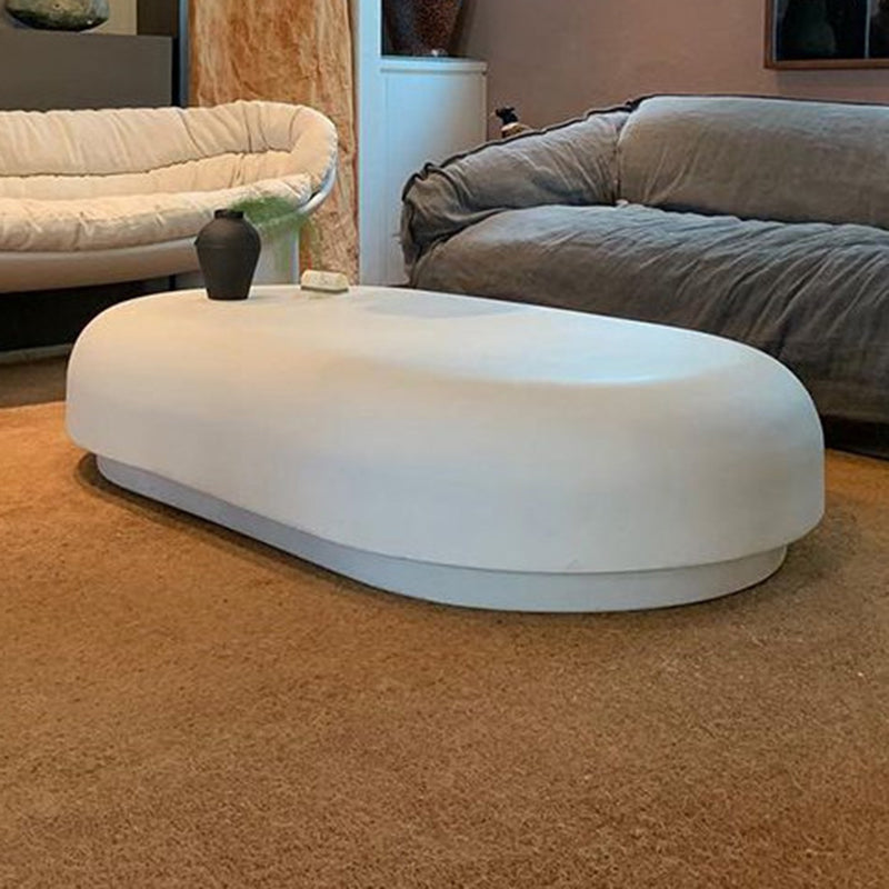 Contemporary 1 Single Coffee Table Oval Cocktail Table with Storage