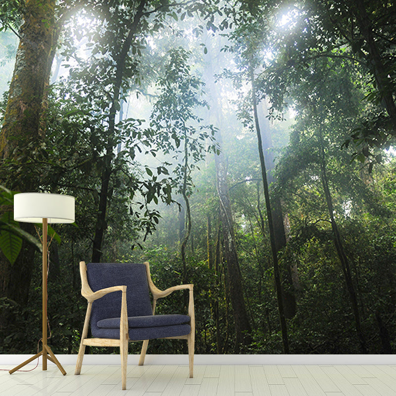 Popular Wall Mural Tropical Forest Print Living Room Wall Mural